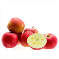 Sweet fresh huaniu apple from China shandong